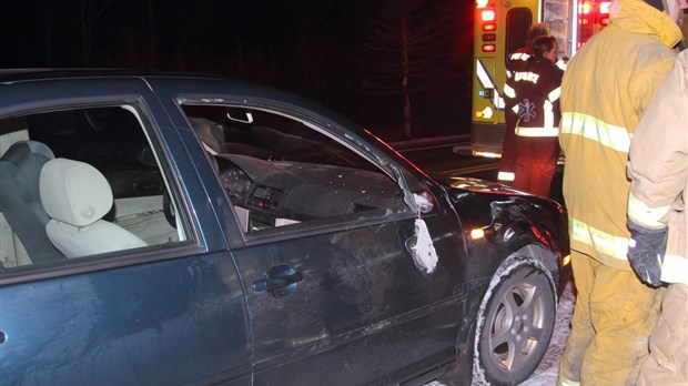 Collision avec un orignal à Saint-François-Xavier-de-Viger