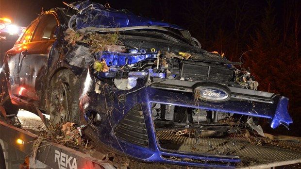 Collision avec un chevreuil sur la route 232