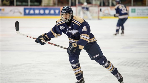 Les Albatros face aux Grenadiers de Châteauguay en séries