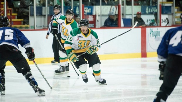 Une saison à 8 équipes dans la LNAH