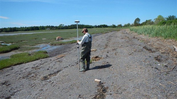 Restauration des habitats côtiers du parc de l’Anse-du-Portage