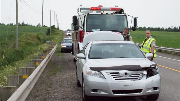 Collision avec un chevreuil à Saint-Alexandre