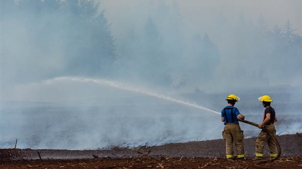 Éteindre un feu de tourbe, une tâche difficile