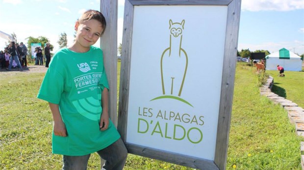 Plus de 1 700 visiteurs chez Les Alpagas d'Aldo