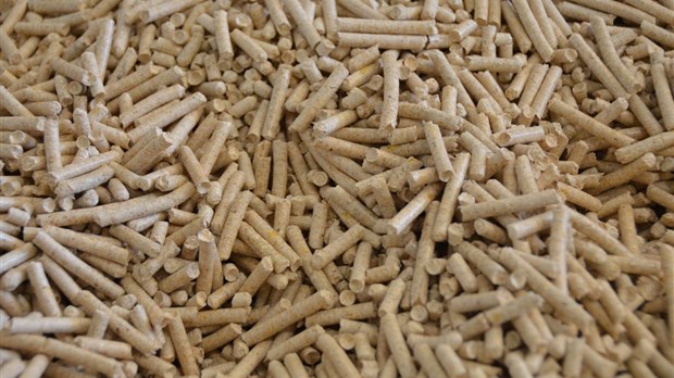 L’implantation d’usines de granules de bois retient l’attention