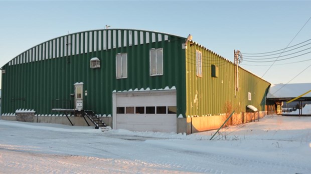 Maibec redémarre son usine de paillis à Dégelis