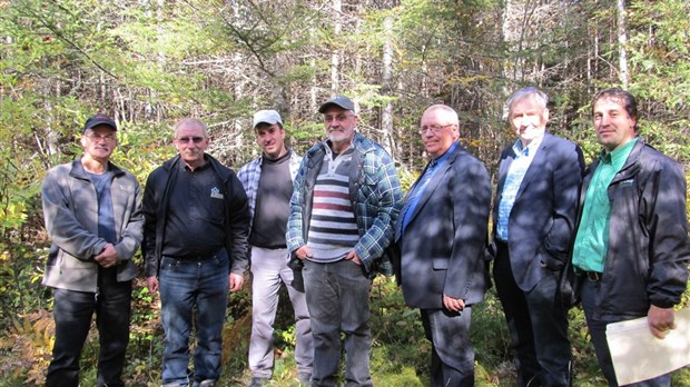 Tordeuse des bourgeons de l'épinette: des producteurs désespérés