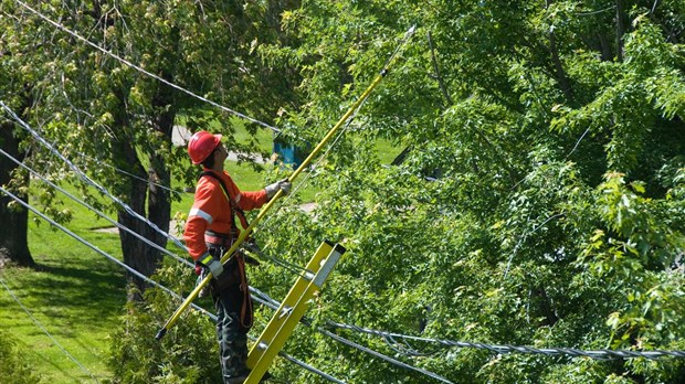 Travaux d'élagage d'arbres par Hydro-Québec