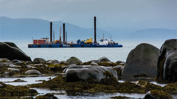 Nouveau rapport sur les impacts du transport de pétrole sur le St-Laurent