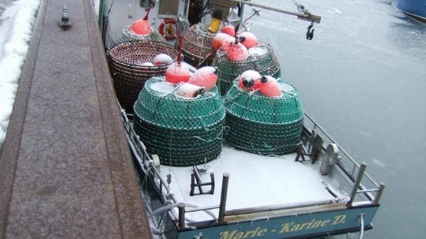La pêche au crabe des neiges retardée