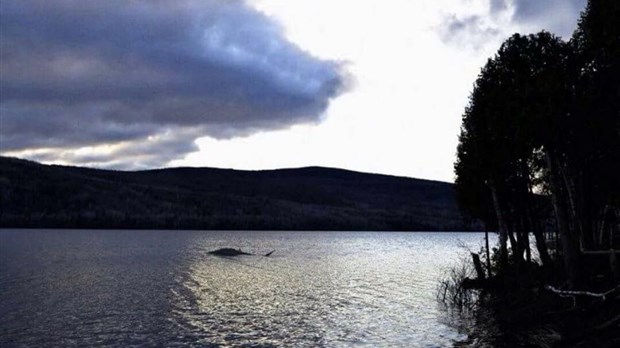 Ponik, le monstre du lac Pohénégamook réapparait