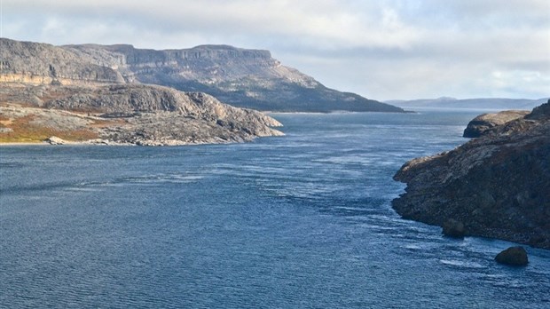 Le ROMM étend son suivi des mammifères marins jusqu’au Nunavik