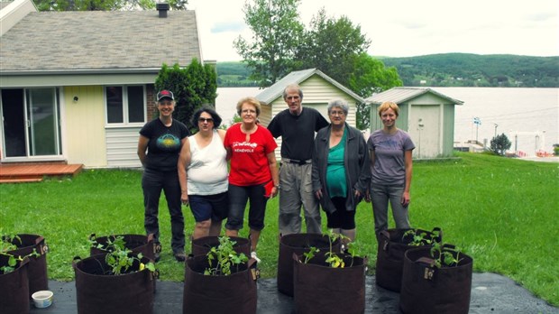 HLM et jardins en sacs: une première au Témiscouata