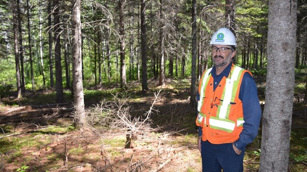 La forêt privée, un patrimoine que le gouvernement ne peut délaisser