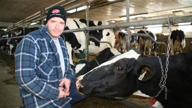 La résilience des producteurs laitiers au Bas-Saint-Laurent 