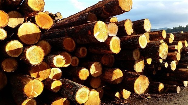 Nouvel accord sur le bois d'œuvre : l'UMQ appelle les députés fédéraux à prendre position
