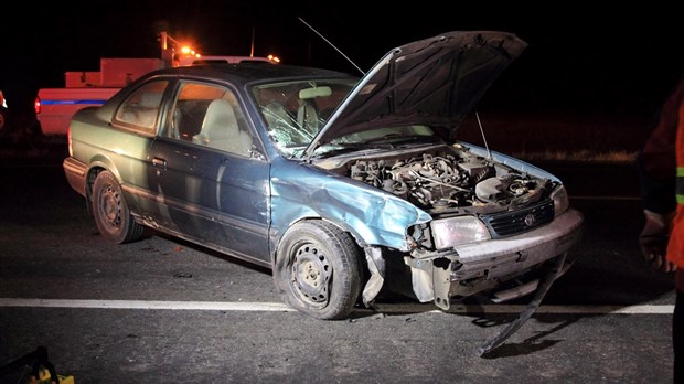 Collision entre deux véhicules et un orignal à Cacouna