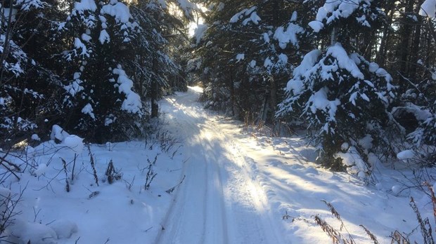 Sports d’hiver : des sentiers à découvrir à Saint-Ludger