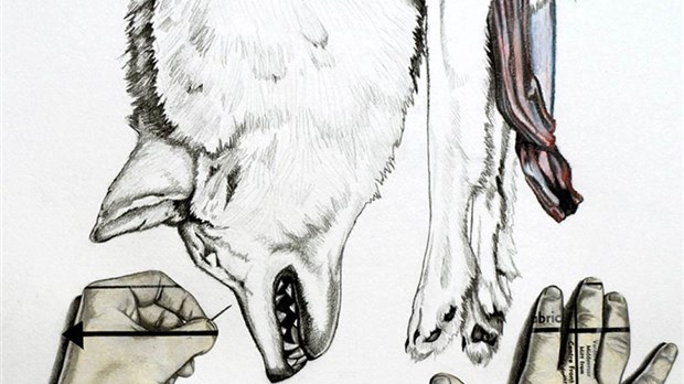 Gabrielle Gendron expose ses œuvres à la Maison de la culture