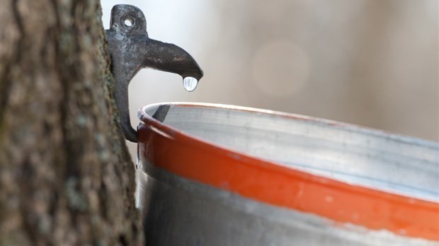 Déjà près de 2 200 signatures pour la pétition en défaveur du Rapport Gagné