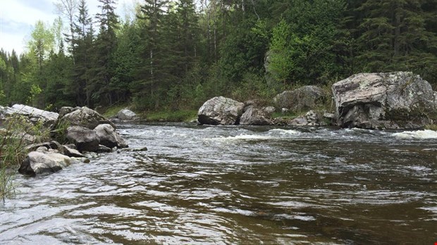 26 500$ pour 17 projets d’ensemencement au Bas-Saint-Laurent
