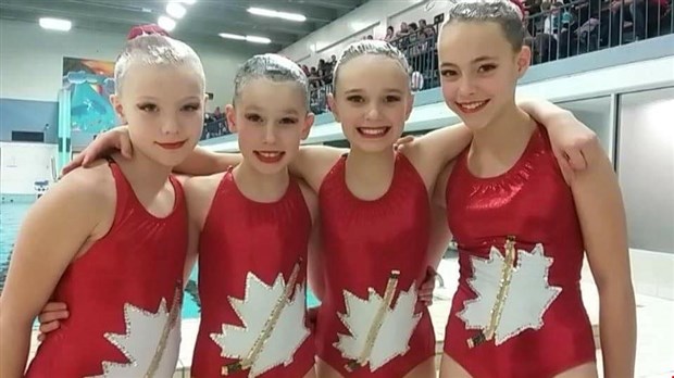 Des Flamants Roses font belle figure à Québec