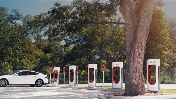 Tesla installerait des bornes « Superchargeurs » à Rivière-du-Loup cet été 