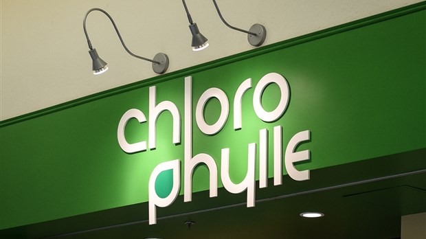 Chlorophylle assure sa relance