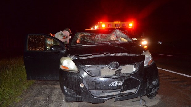 Collision avec un orignal sur l’autoroute 20