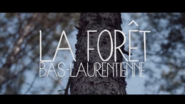 Présentation du court-métrage « La forêt bas-laurentienne »