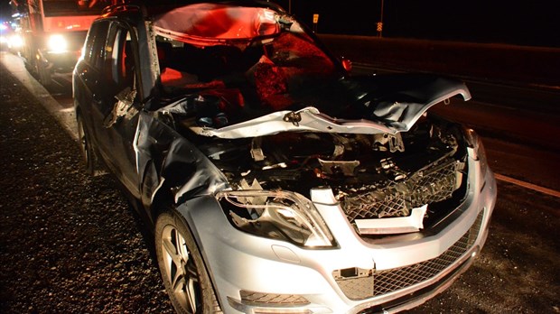 Deux blessés dans un accident avec un orignal