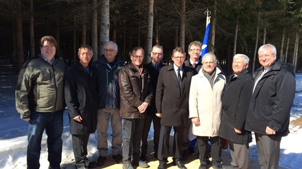 Lutte contre la tordeuse des bourgeons de l'épinette: pas d’arrosage avant 2018