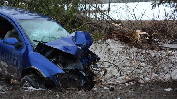 Un automobiliste percute deux arbres à Saint-Cyprien