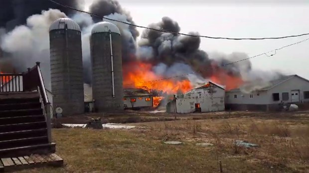 Incendie majeur à la ferme Rayon D’Or de Kamouraska