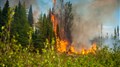 Beau temps et prévention des feux de forêt 