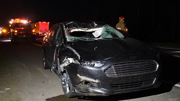Deux voitures heurtent un orignal sur la route 185