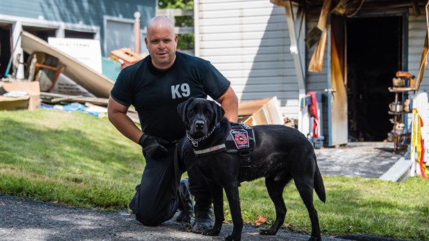 Shadow, le chien-détecteur du SSIRDL