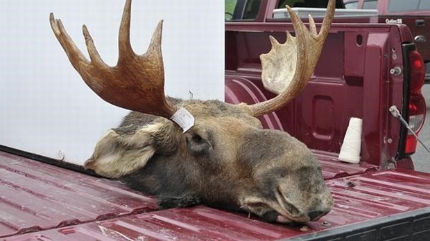 Braconnage : 6000 $ d’amendes pour trois chasseurs de Dégelis