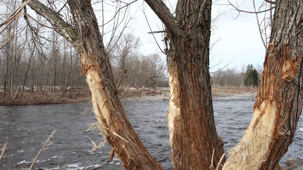 Rivière-Ouelle prouve qu’elle a cœur sa rivière