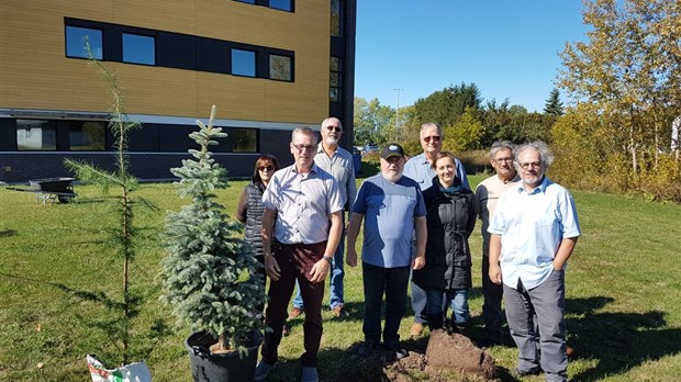 Un arbre pour chaque municipalité du Kamouraska à l'édifice Claude-Béchard