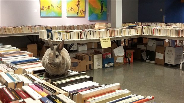 La Bibliothèque Françoise-Bédard souligne la Semaine des bibliothèques publiques