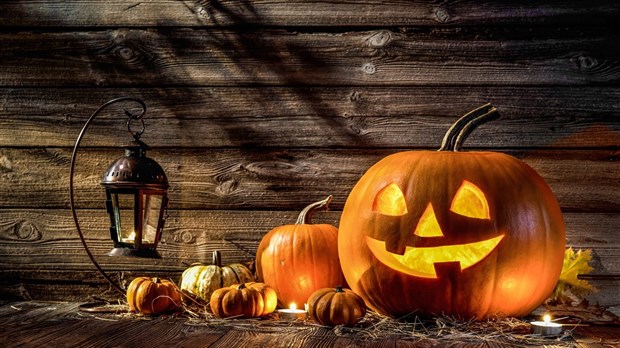 Le marathon du film d’Halloween au cinéclub ONF de Trois-Pistoles