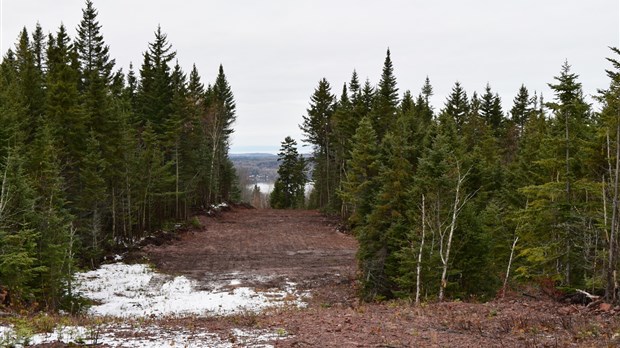 On prépare activement la prochaine saison au Parc du Mont-Saint-Mathieu 
