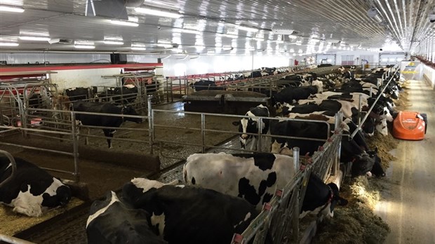 Guy Caron se joint aux Producteurs de lait du Bas-Saint-Laurent
