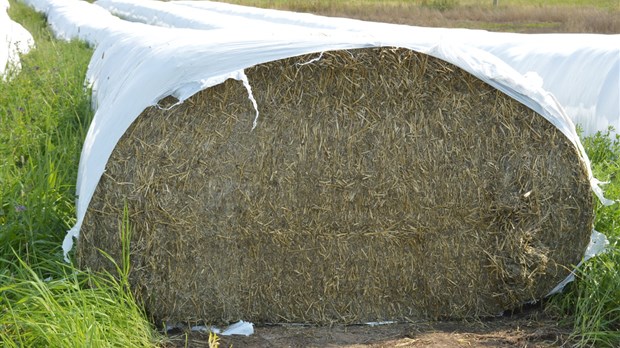 Bilan annuel de la Financière agricole dans la région du Bas-Saint-Laurent