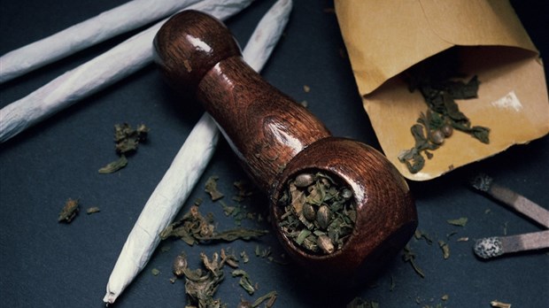 Cannabis : moins d'un mois pour modifier un bail en vigueur