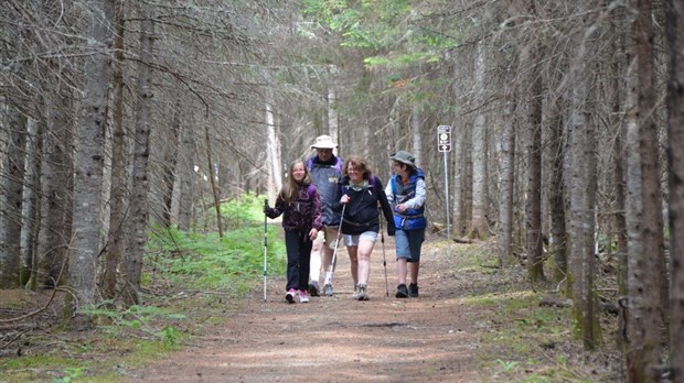 Les chiens seront permis au parc national du Lac-Témiscouata 
