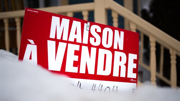 À vos marques, prêts...achetez! 