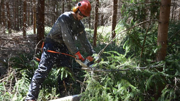 Négociations : les groupements forestiers appellent les travailleurs à faire équipe