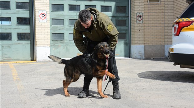 Un maitre-chien de patrouille s'installe à Rivière-du-Loup